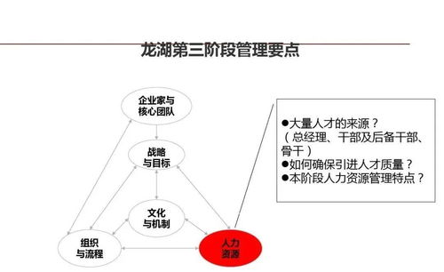 龍湖企業管理與運營精細化管理的信息咨詢服務